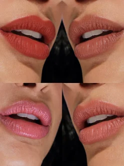 Les Palettes Lèvres>Rouje La Palette Désir